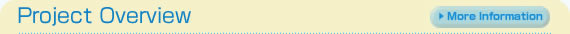 Project Overview