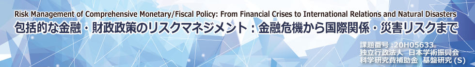 包括的な金融・財政政策のリスクマネジメント：理論・実証・シミュレーション